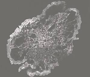 MORITA企画