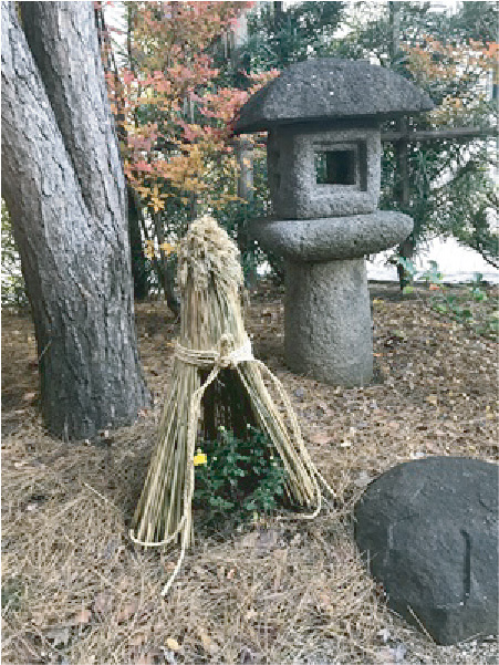 季節の風物詩