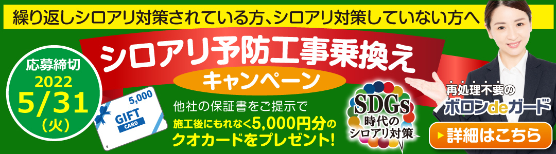 日本ボレイト