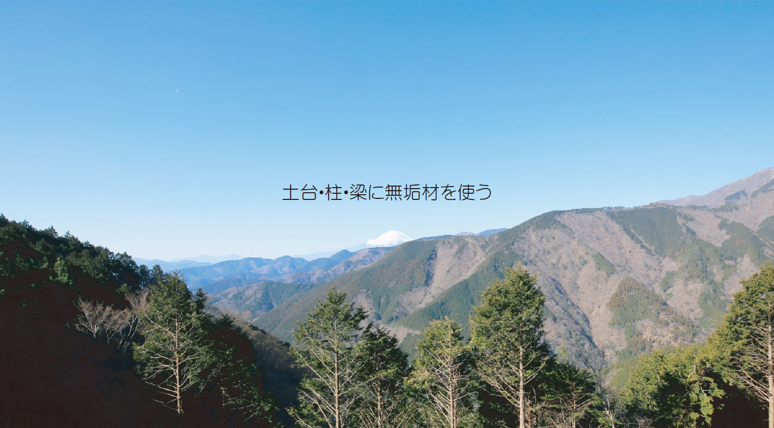 地産地消・丹沢の木を使う