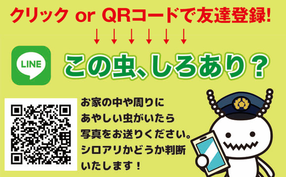 日本ボレイト
