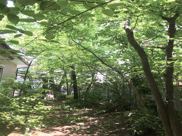 夏の暑さを和らげる為の工夫