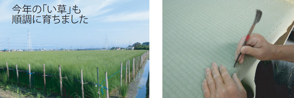 MORITA企画