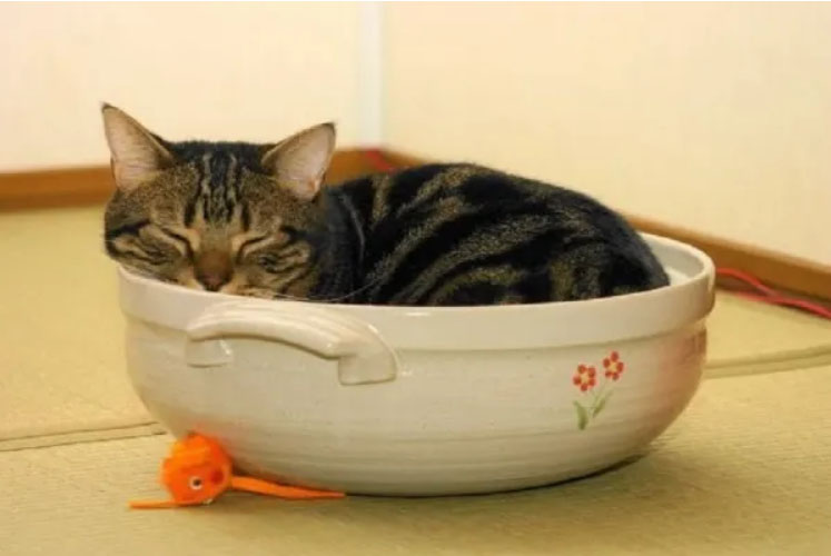 暮らしにあった家づくり？お家に合わせて暮らす生活？