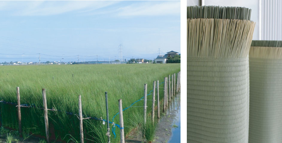 MORITA企画