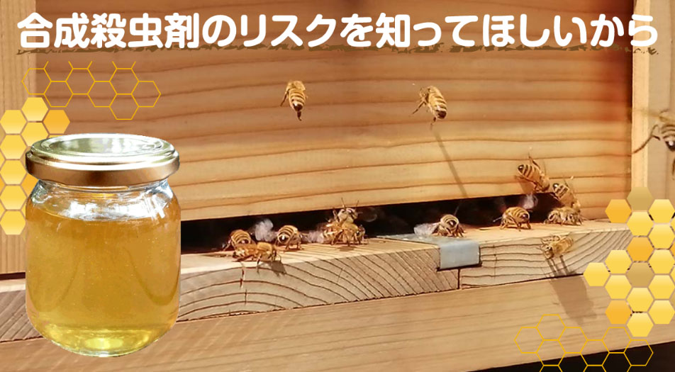 日本ボレイト