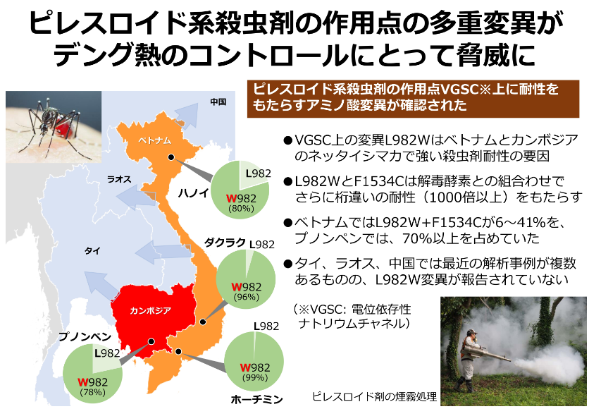 日本ボレイト