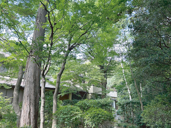 景観の維持管理