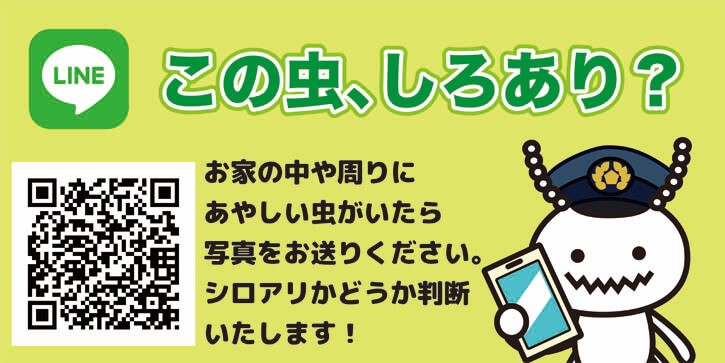 日本ボレイト
