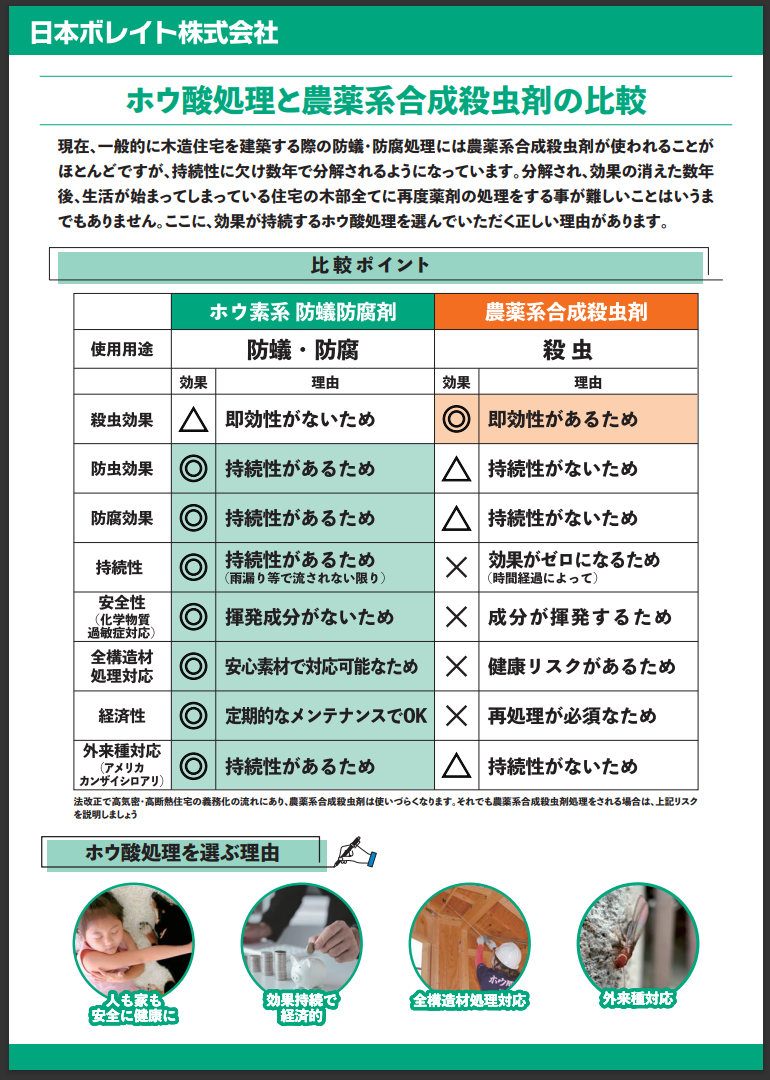 日本ボレイト