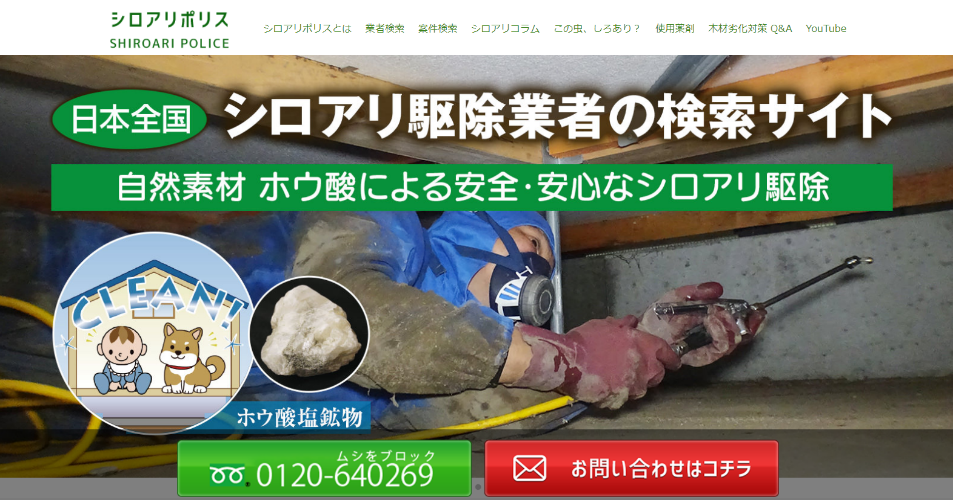 日本ボレイト