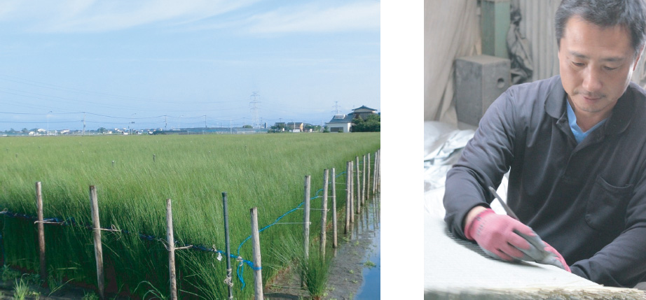 自然住宅・安心家づくりの会の畳