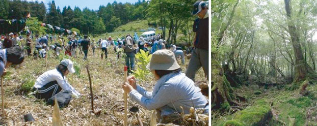 植樹活動
