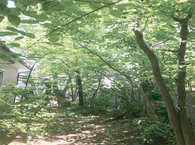 植木で涼しさを演出