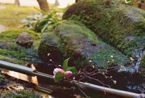 家のつくりようは夏をもってむねとすべし　・・・徒然草・・・