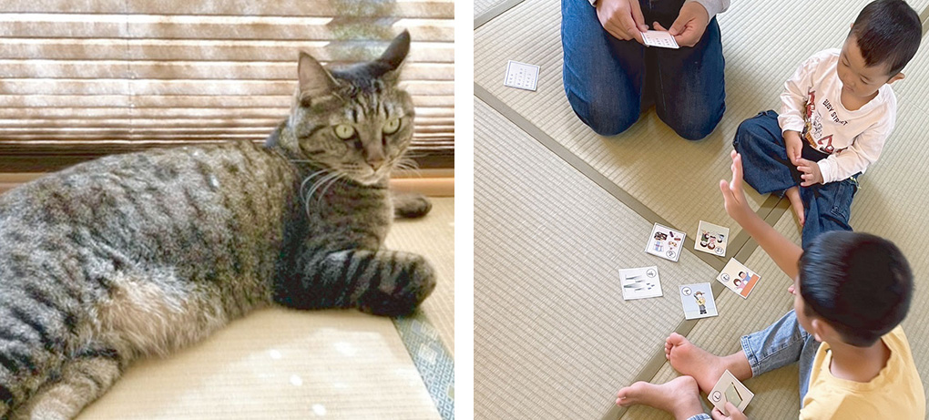 我々が推奨する畳