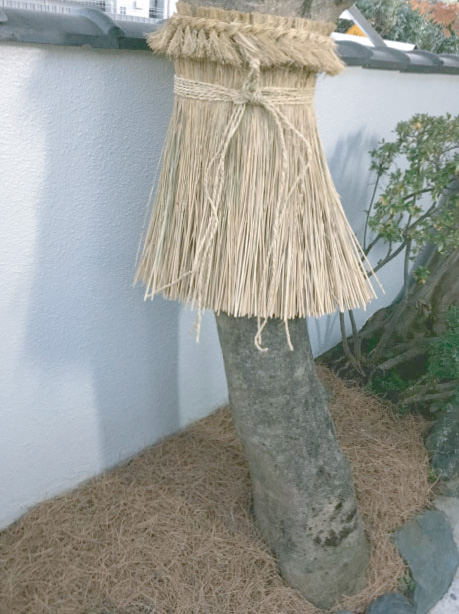 年末のしつらえ